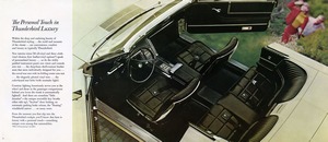 1966 Ford Thunderbird-08-09.jpg